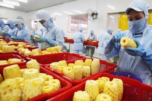 Hỗ trợ doanh nghiệp ngành thực phẩm và đồ uống xuất khẩu thông minh