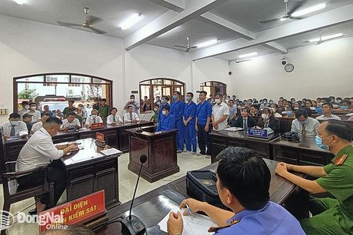 Hậu quả nặng nề từ lòng tham