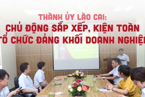 Thành ủy Lào Cai: Chủ động sắp xếp, kiện toàn tổ chức đảng khối doanh nghiệp