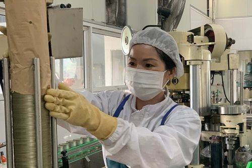 Lào Cai: Mỗi năm phấn đấu thành lập mới khoảng 800 doanh nghiệp