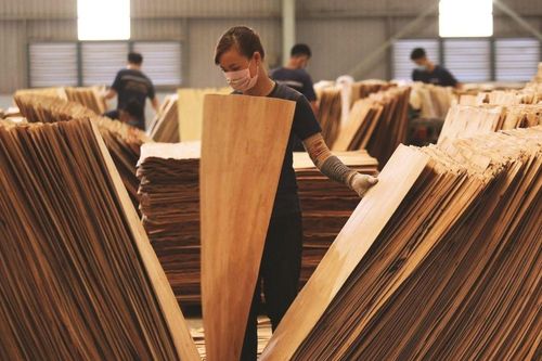Hoa Kỳ gia hạn thời gian điều tra chống lẩn tránh thuế phòng vệ thương mại đối với gỗ dán và pin mặt trời nhập khẩu từ Việt Nam