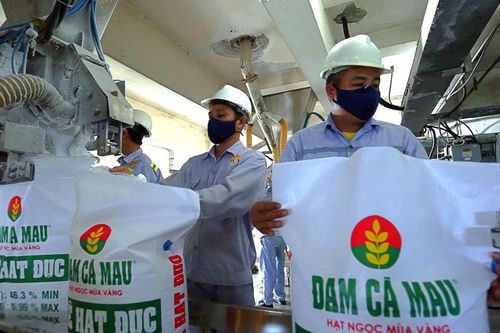 Đạm Cà Mau: Dự kiến chi cổ tức năm 2022 bằng tiền với tỷ lệ 30%, có thể triển khai dự án M&A trị giá 850 tỷ đồng