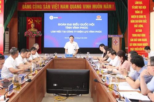 Đoàn ĐBQH tỉnh Vĩnh Phúc làm việc với Công ty Điện lực Vĩnh Phúc về phát triển năng lượng