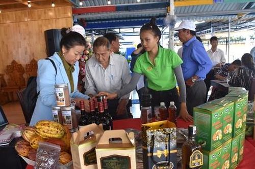 HTX nông nghiệp có doanh thu bình quân 2,3 tỷ đồng/năm, lãi 378 triệu đồng