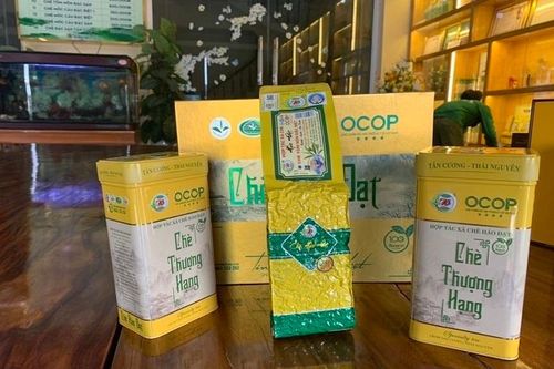 Nhờ trồng sản vật quê hương, HTX có doanh thu hơn chục tỷ đồng/năm
