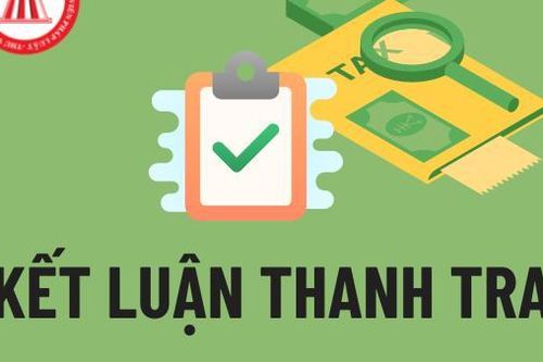 Kê khống lợn chết để trục lợi hơn nửa tỷ đồng