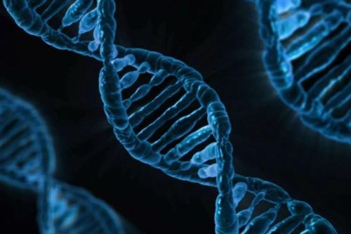 Phát hiện mới về DNA của con người
