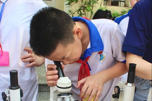 Học sinh thí nghiệm thả trứng từ tầng ba không vỡ