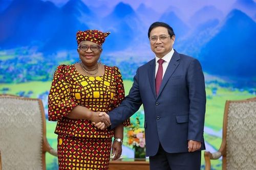 Tổng Giám đốc WTO: Thành công của Việt Nam cần được giới thiệu nhiều hơn với thế giới