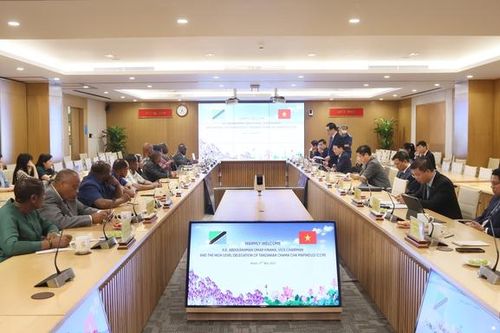 Trao đổi kinh nghiệm xây dựng chính sách thúc đẩy chuyển đổi số, kinh tế số, xã hội số