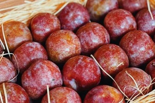 Mận Việt sang Hong Kong 400.000 đồng/kg có gì khác biệt?