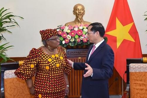 Việt Nam ủng hộ một hệ thống thương mại đa phương mở, minh bạch, công bằng và dựa trên luật lệ với WTO đóng vai trò trung tâm