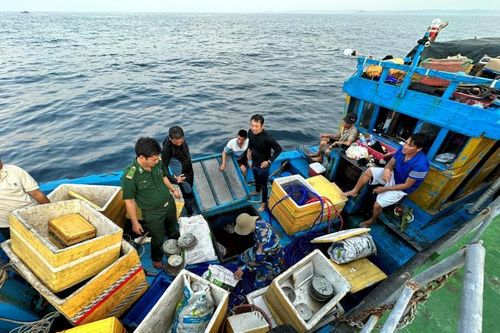 BĐBP Quảng Ngãi tạm giữ nhiều đồ vật gốm sứ do ngư dân khai thác trái phép