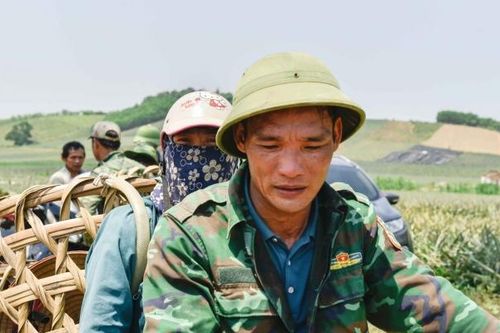 Người nông dân 'đẫm' mồ hôi dưới nắng nóng cao độ