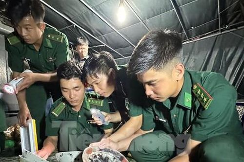 Quảng Ngãi tạm giữ nhiều đồ vật gốm sứ nghi cổ vật trên tàu cá