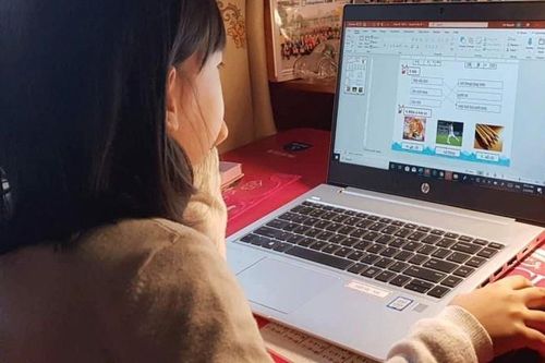 Nguy cơ trẻ em bị xâm hại do bố mẹ khoe các con trên mạng