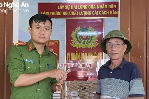 Tiếp nhận một cá thể cu li nguy cấp, quý hiếm