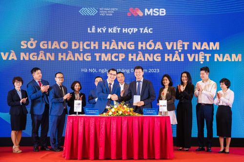 Thúc đẩy thị trường giao dịch hàng hóa tại Việt Nam phát triển toàn diện