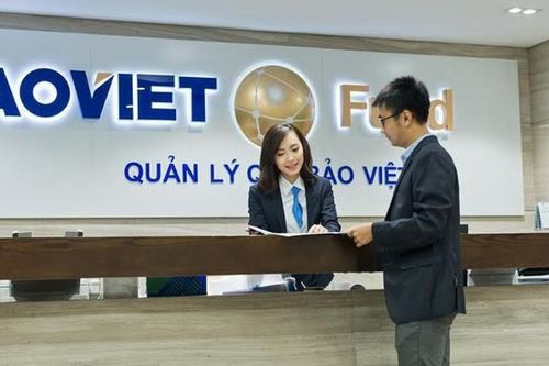 Baoviet Fund chào bán chứng chỉ quỹ ETF BVFVN Diamond (BVFVND)