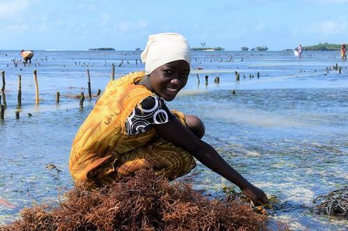 Kenya hợp tác với EU để thúc đẩy nền kinh tế xanh