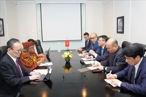 Việt Nam-WTO thống nhất thúc đẩy thương mại đa phương