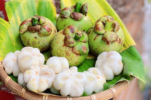 Măng cụt xanh luôn 'cháy hàng' nhưng nhiều chủ vườn vẫn nhất quyết không bán, vì sao?