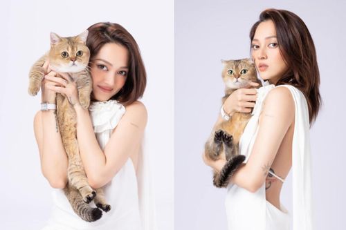 Thực hư tiếng em bé xuất hiện trong livestream của Bảo Anh?