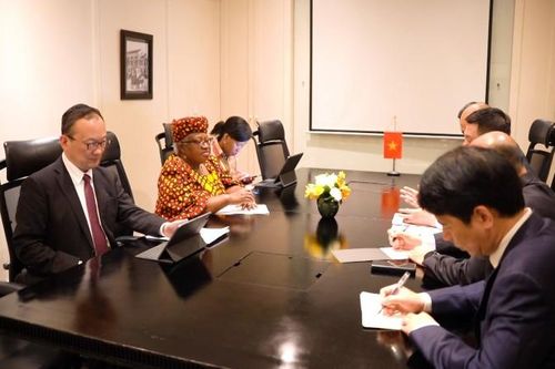 Tổng Giám đốc WTO: Việt Nam là 'tấm gương sáng' về tăng trưởng kinh tế
