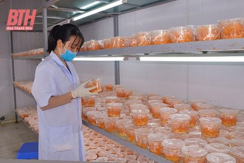 Bác Hồ với đội ngũ trí thức và vai trò của trí thức trong sự nghiệp CNH, HĐH đất nước