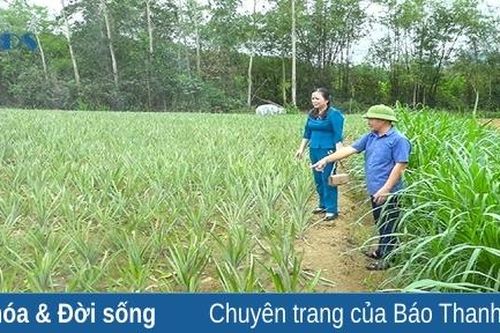 Ngọc Lặc phát triển kinh tế trang trại