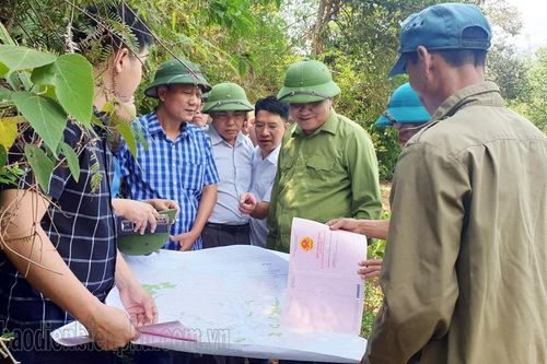 Tuần Giáo cần quyết liệt đẩy nhanh tiến độ giao đất, giao rừng