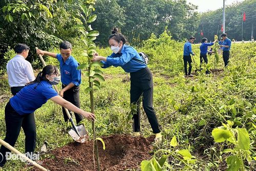 Mỗi cán bộ, đoàn viên, thanh thiếu nhi trồng và chăm sóc ít nhất 1 cây xanh
