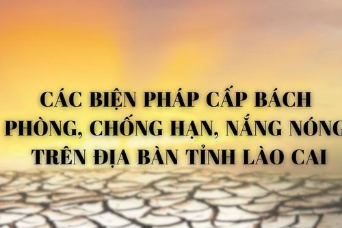Các biện pháp cấp bách phòng, chống hạn, nắng nóng trên địa bàn tỉnh Lào Cai