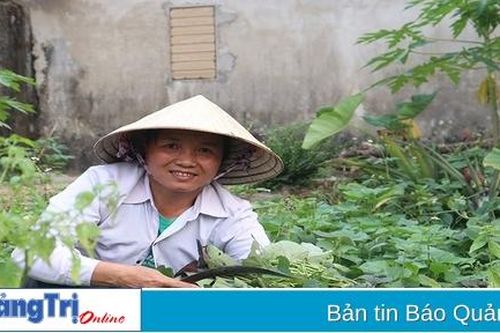 Vươn lên từ nghịch cảnh