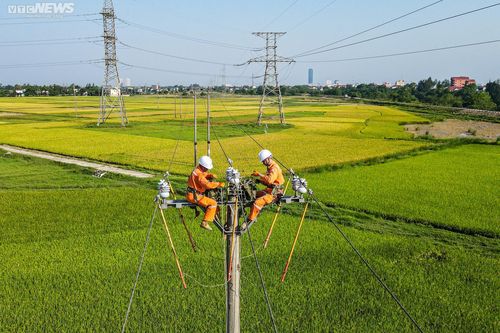 Tổng công ty Điện lực miền Bắc diễn tập phòng chống thiên tai, xử lý sự cố
