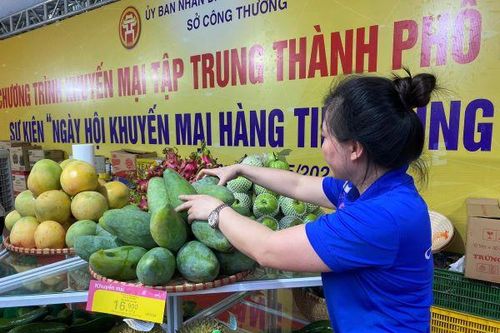 Hà Nội: Khai mạc Chương trình Khuyến mại tập trung 2023