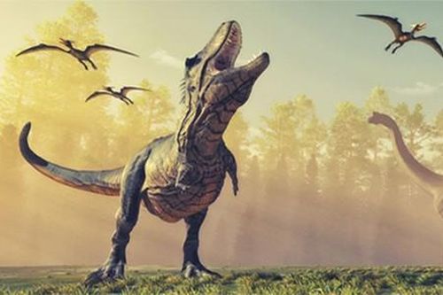 Phát hiện bất ngờ 'dân số' T-Rex trên Trái Đất trước khi tuyệt chủng