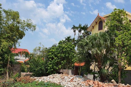 Vi phạm sử dụng đất, nguyên Phó Chủ tịch huyện bị khởi tố