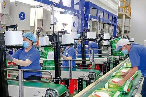 Xuất khẩu gạo tăng chưa từng có, vì sao doanh nghiệp vẫn báo lỗ?