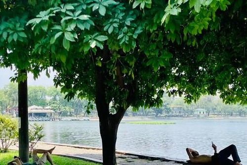 Hà Nội: Nhiều người trốn nóng, tìm giấc ngủ trong công viên