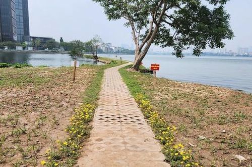 Thực hư việc đổ đất, làm kè lấn chiếm hồ Tây