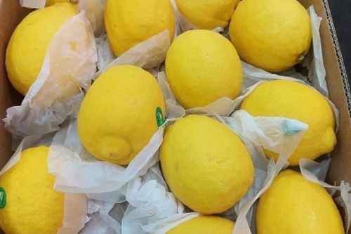 Hà Nội nắng đổ lửa, chanh vàng giải nhiệt 30.000 đồng/quả 'cháy hàng'