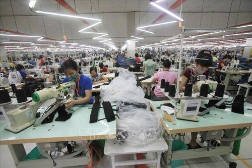 Xác định những lĩnh vực tiềm năng thúc đẩy thương mại Việt Nam, Hoa Kỳ