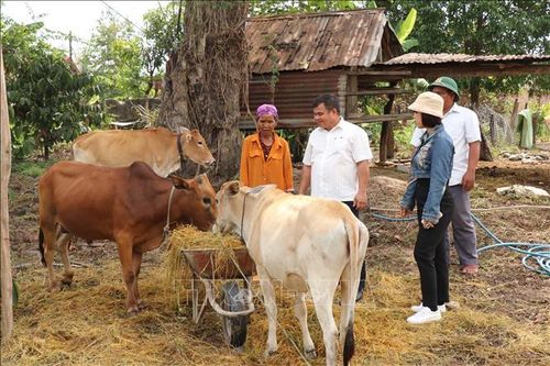 Học và làm theo lời Bác ở vùng căn cứ cách mạng H9 anh hùng