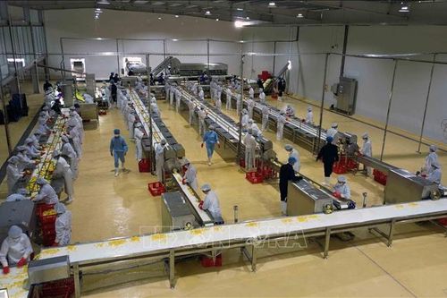 Khánh thành Trung tâm chế biến rau, quả Doveco Sơn La