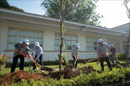 Phát động trồng cây xanh nhân kỷ niệm 133 năm Ngày sinh Chủ tịch Hồ Chí Minh