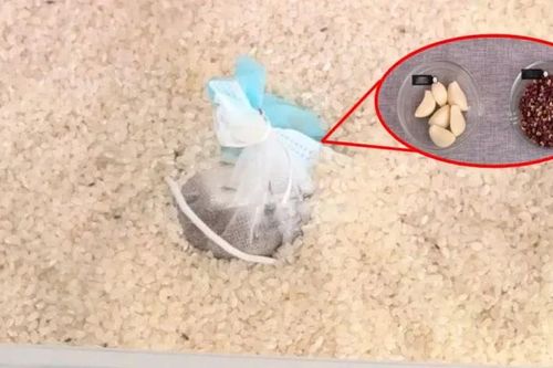 Bỏ thứ này vào thùng gạo, để cả năm không sợ mọt, cơm vừa dẻo vừa thơm