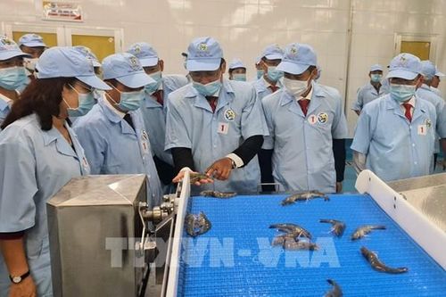 Bạc Liêu đưa vào hoạt động nhà máy chế biến thủy sản Việt Úc