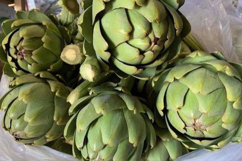 Atiso Đà Lạt nhận Kỷ lục châu Á cho ẩm thực, món ăn kết hợp với loài hoa càng làm xiêu lòng du khách