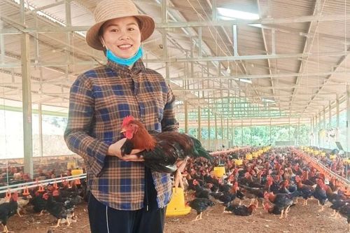 Yên Bái: Khơi dậy sức sáng tạo của phụ nữ trong khởi nghiệp, khởi sự kinh doanh